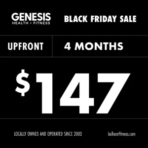 Black Friday Sale – 4 months